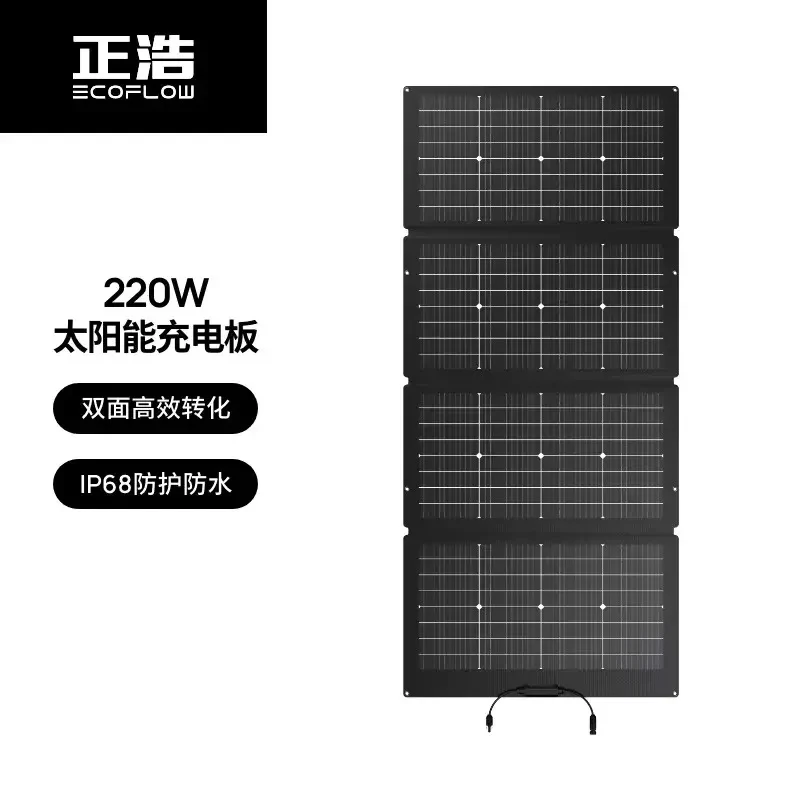 EcoFlow-Panneau Solaire fotovoltaico flessibile et portatile, Accessoire de Production d'Massage pour le medage, l'exteleveur, le C