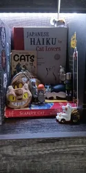 Imagen de reseña 4