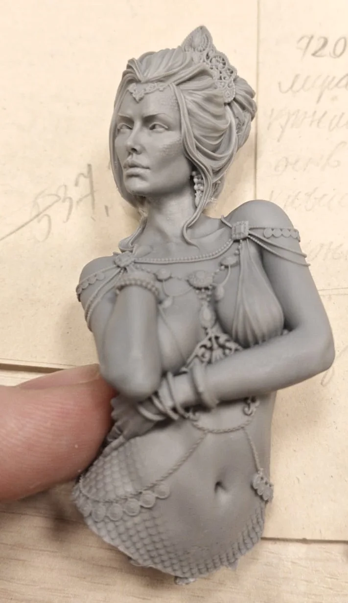 Buyer photo of this resin kit