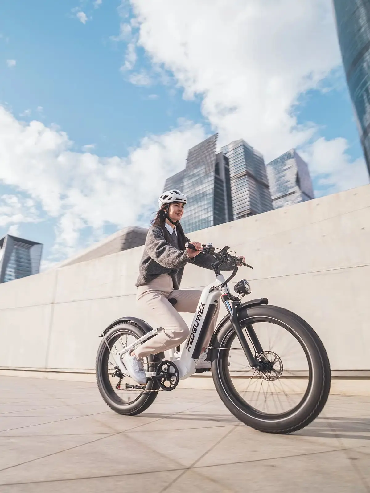 AliExpress RZOGUWEX S9 Adult Electric Bicycle 1000W Motor All-Terrain E-bike 48V25Ah Battery City ebike 20 Inch Fat Tires E-Mountain Bike