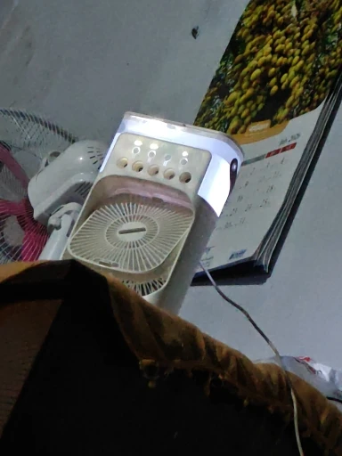 실물 포토 리뷰