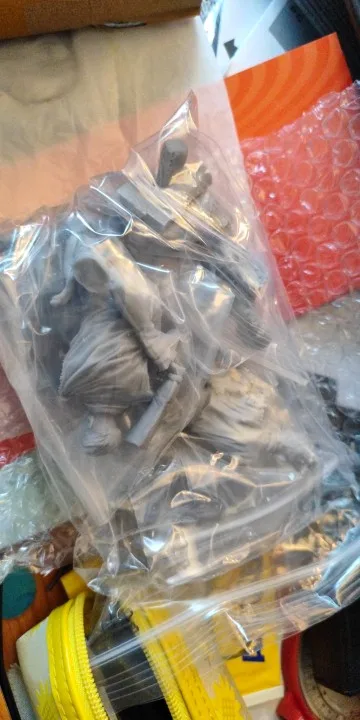 Buyer photo of this resin kit