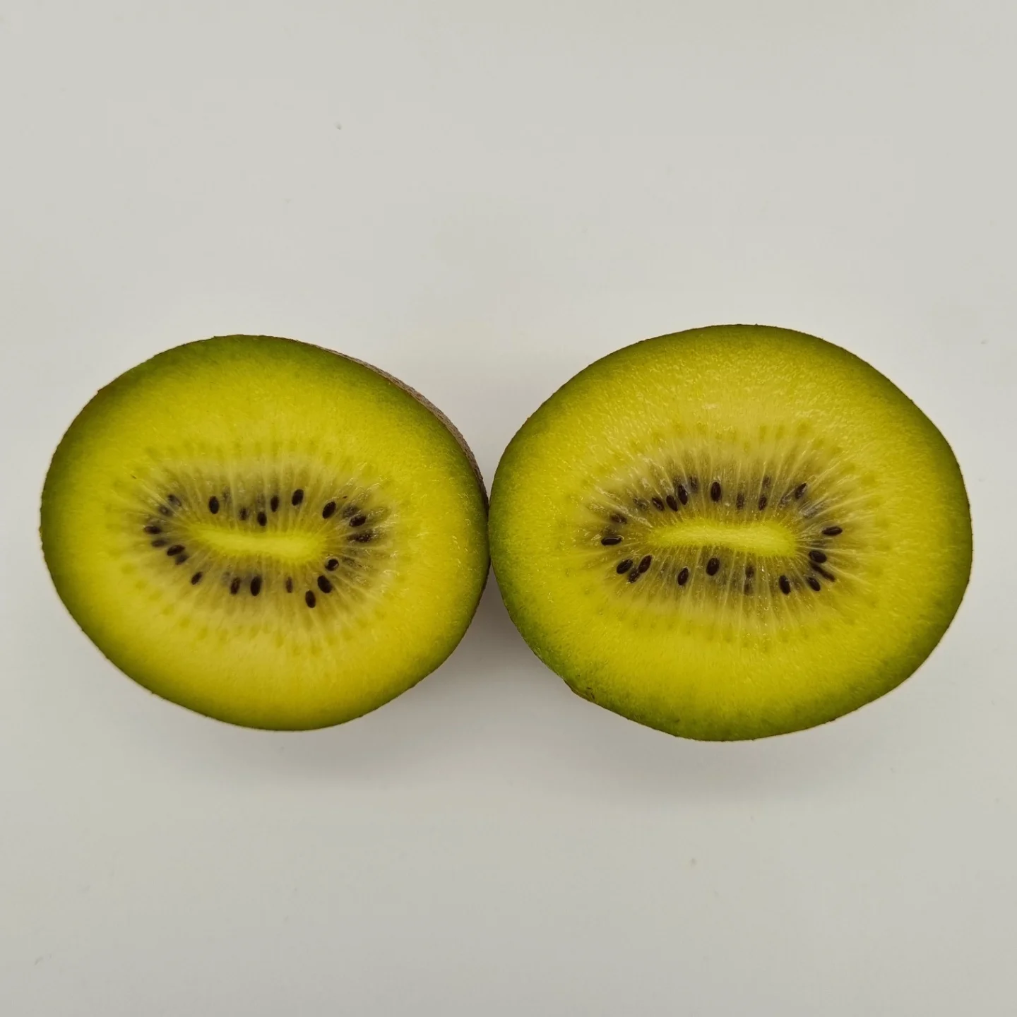 [마이달당] 제스프리 골드키위 1kg 소과(9~11과)