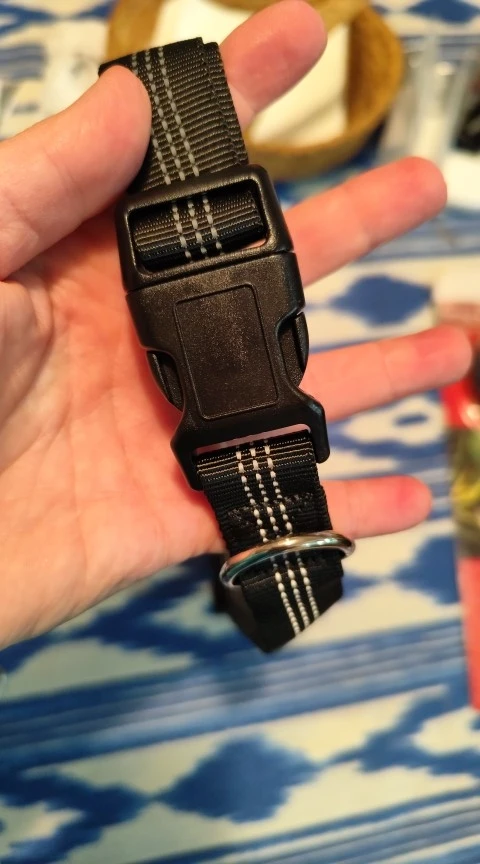Customer review photo for Hands-Free Bungee Dog Leash with Adjustable Waist Belt