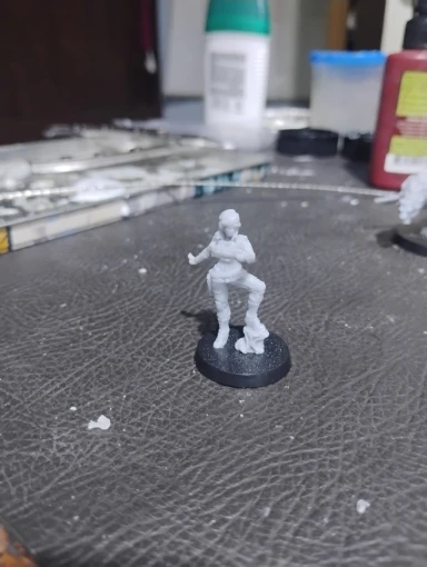 Buyer photo of this resin kit