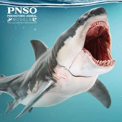 PNSO Prehistoric Animal Models: 15Patton The Megalodon (Big White Shark) 6.2