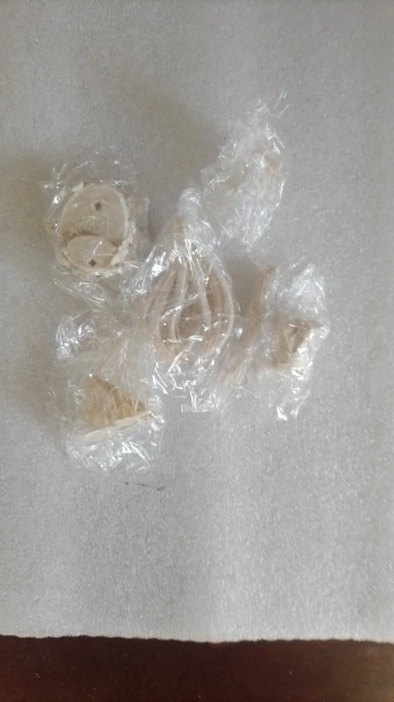 Buyer photo of this resin kit