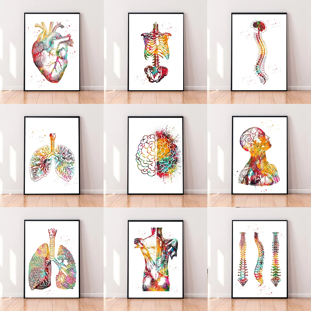 

Human Anatomy Spine Heart Brain Wall Art Canvas Painting Posters And Prints Body Map Wall Pictures Medical Education Home Decor