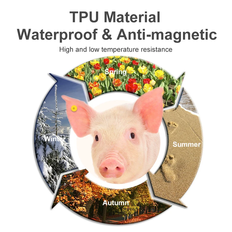 Uds de 10 etiqueta oreja de cerdo de 30mm, gestión ganadera, UHF/LF, RFID, 860 ~ 960Mhz/134,2 Khz, etiquetas para orejas de animales para granja