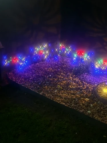 6Pack Outdoor Solar Garden Lights LED Garden Lights 8 Lighting Modes Courtyard Lamp IP65 Solar Landscape Light photo review