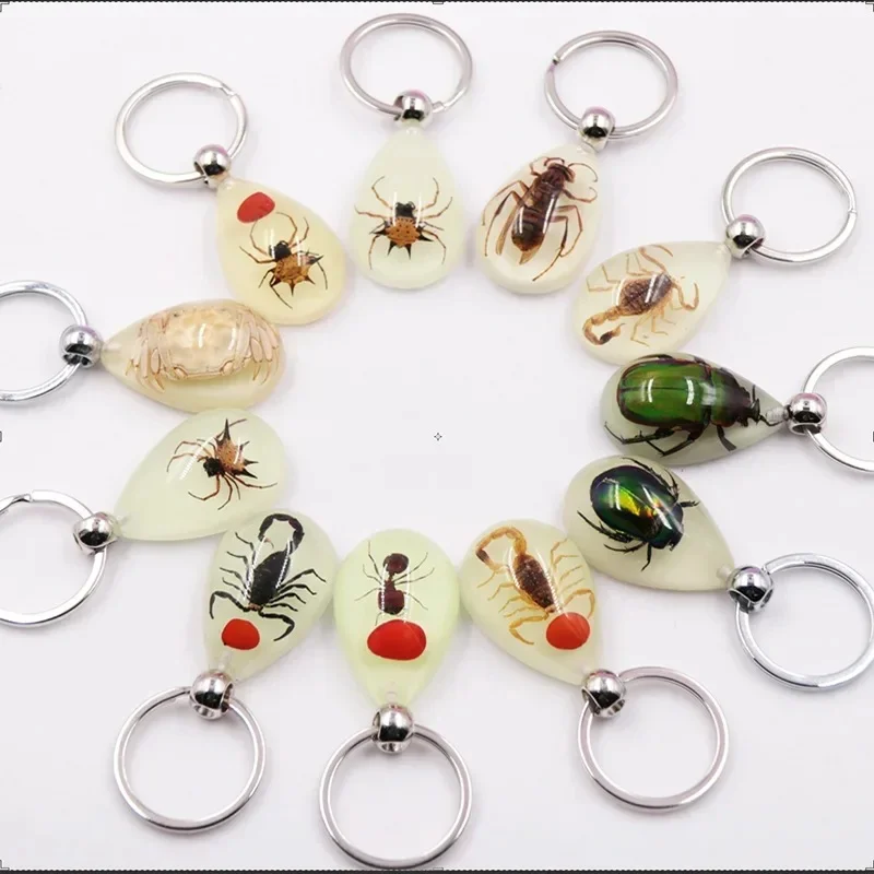 Porte-clés d'échantillon d'insecte 6 pièces, pendentif de voiture en résine époxy artificielle, ornement de bureau, pendentif d'ambre d'insecte, décoration de maison