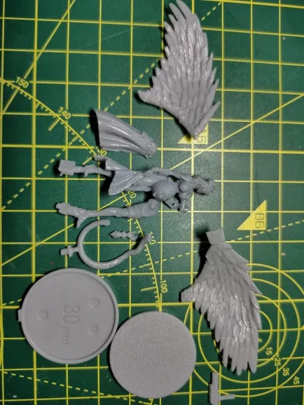 Buyer photo of this resin kit