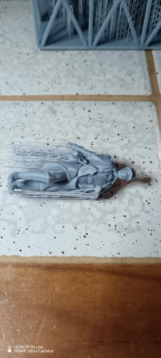 Buyer photo of this resin kit
