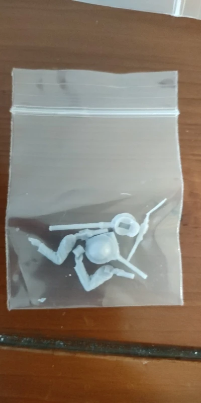 Buyer photo of this resin kit