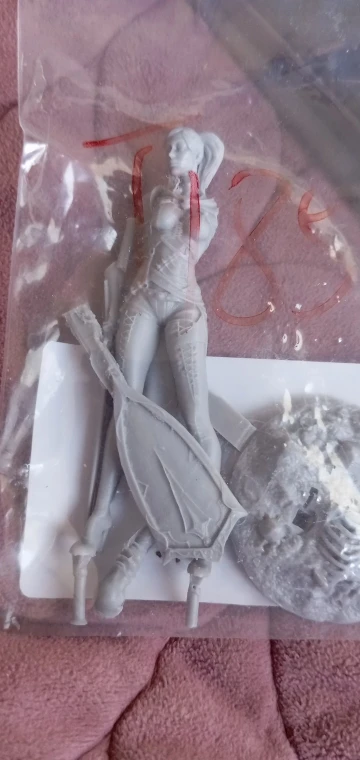 Buyer photo of this resin kit