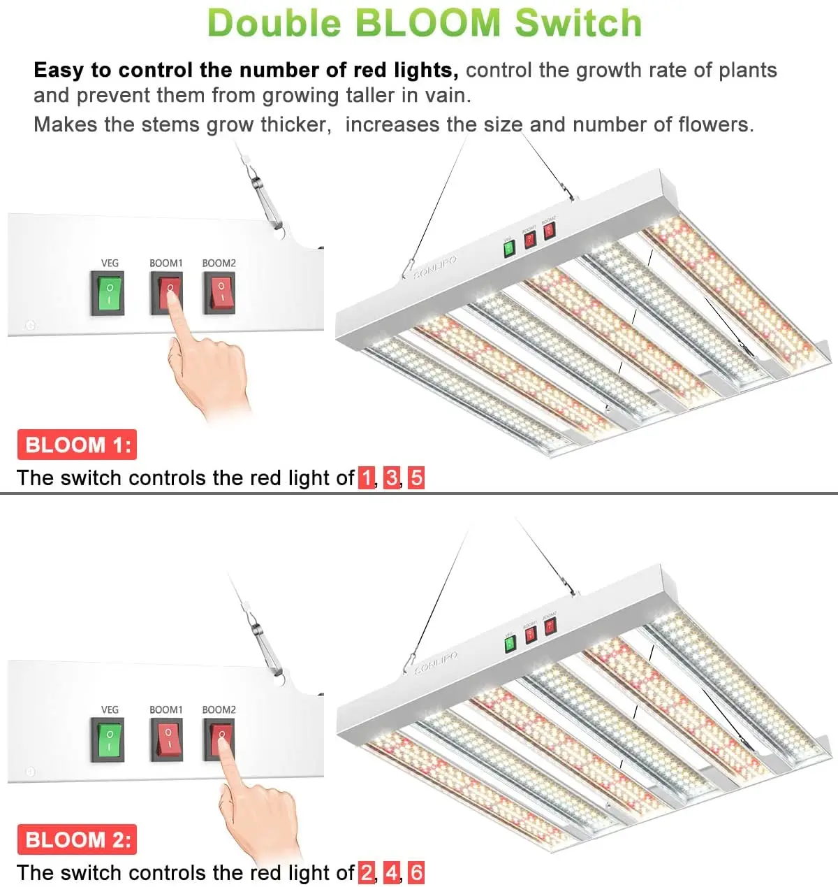 Imagem -05 - Full Spectrum Led Grow Light para Plantas 4x4 ft Cover Diodos Sam-sung 200 w Spf2000 200 w