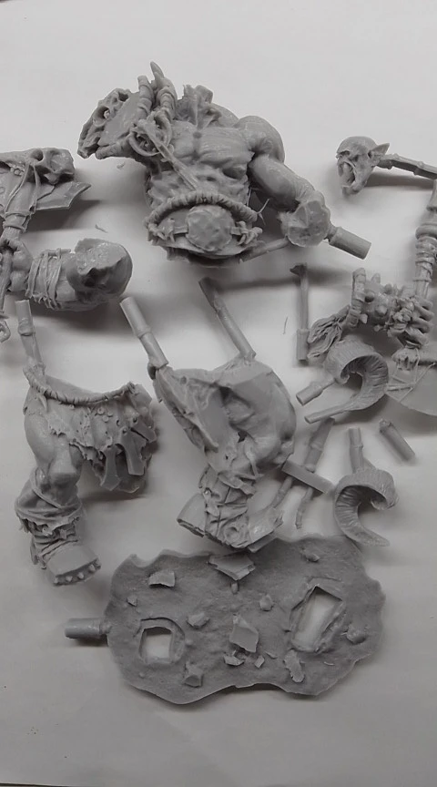 Buyer photo of this resin kit