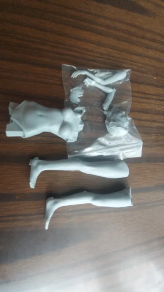 Buyer photo of this resin kit