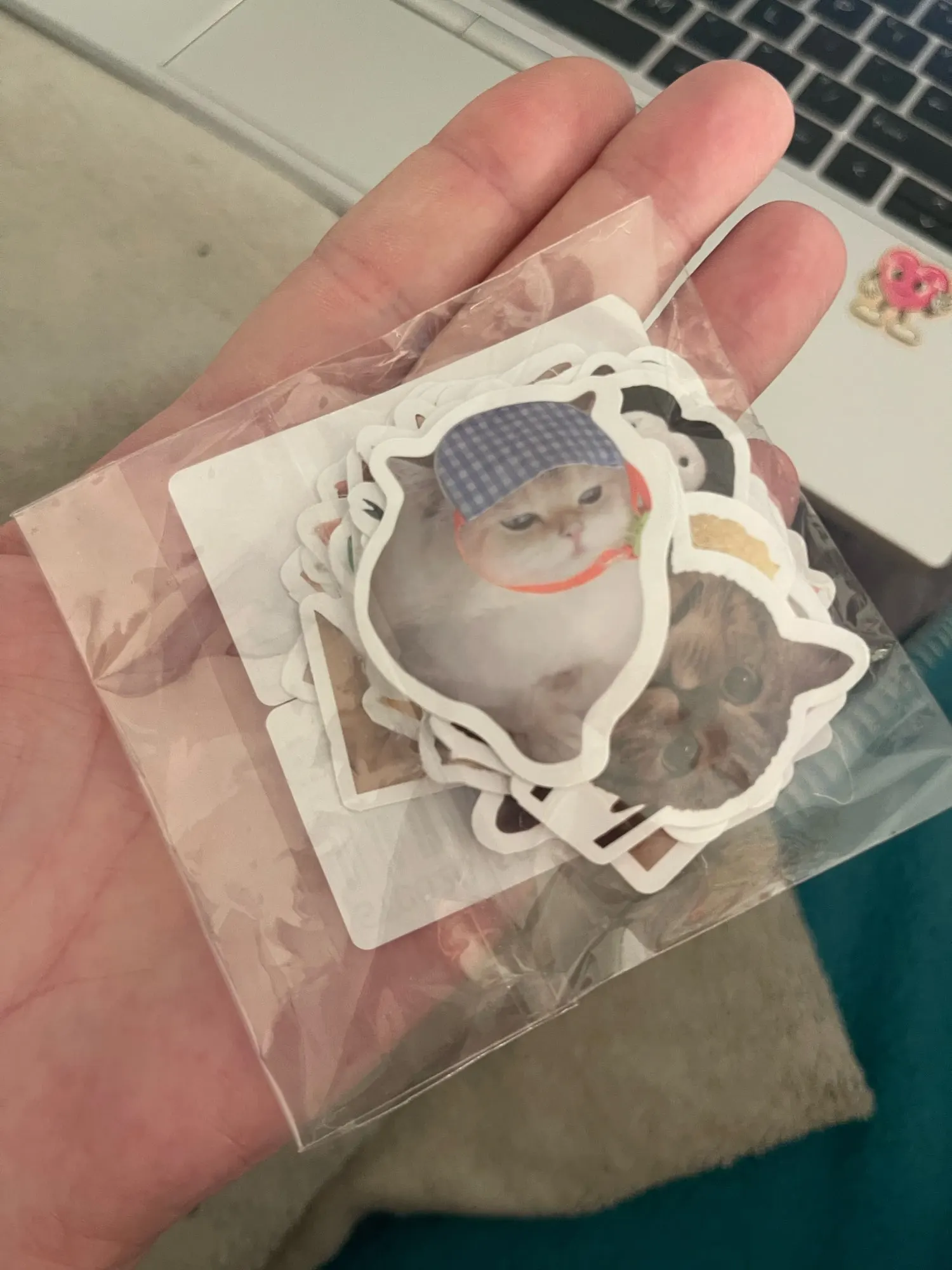 Customer review photo