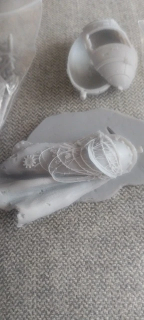 Buyer photo of this resin kit