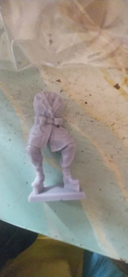 Buyer photo of this resin kit