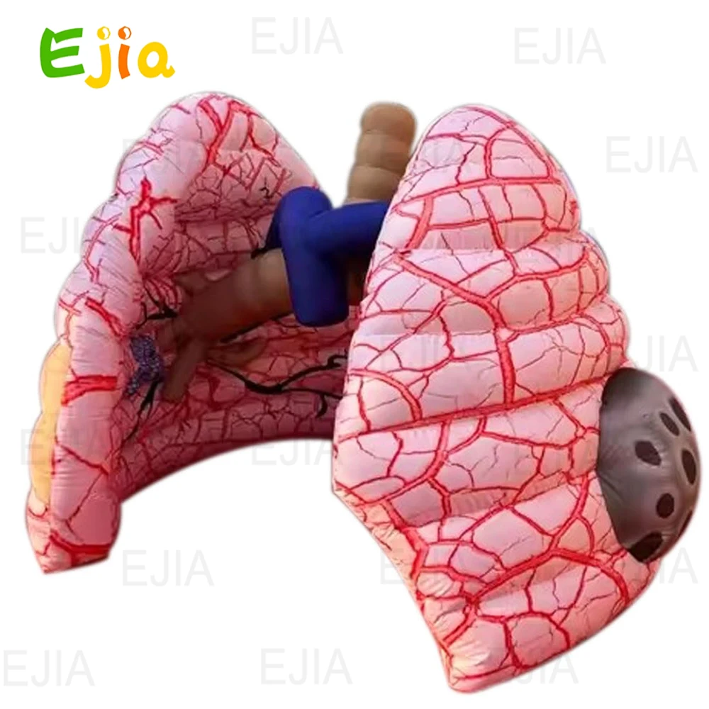 Modello polmonare gonfiabile gigante -10 piedi/3 m di altezza, modello gonfiabile del corpo umano di Oxford 210D per esposizioni di insegnamento medico scolastico