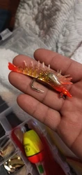 Imagen de reseña 3