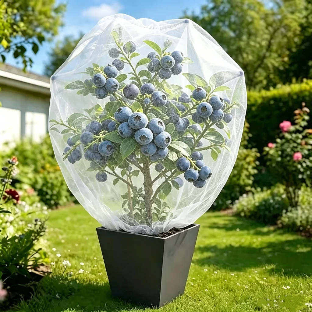 Nylon Plant Protection Netting Mesh Bag Cover for Fruit Vegetable Tree Strawberry Grapes Pest Control Anti Bird Garden