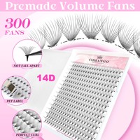 Mega Volume Fans Premade Eyelash Extension Thin Soft False Mink 3D 6D 10D 12D 14D 16D Eyelashes High Quality Ready Made Lashes