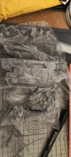 Buyer photo of this resin kit
