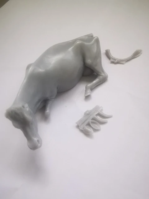 Buyer photo of this resin kit