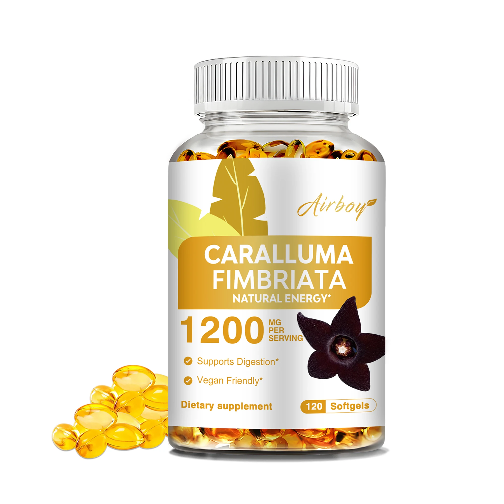 Caralluma Fimbriata - Enhance Endurance, Boost Metabolism, Suppress Appetite, Weight Management - 120 Capsules