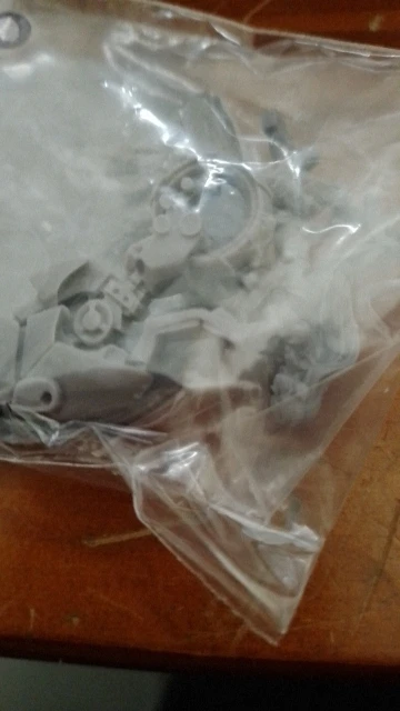 Buyer photo of this resin kit
