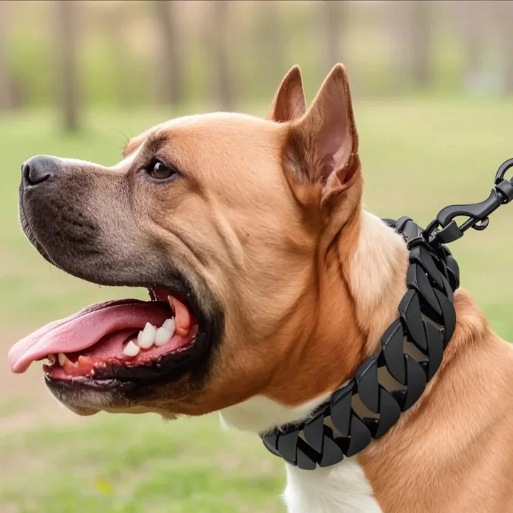 Obroża dla psa Golden Pitbull - wytrzymały łańcuszek ze stali nierdzewnej dla dużych psów - bezpieczna i bezpieczna konstrukcja — 2
