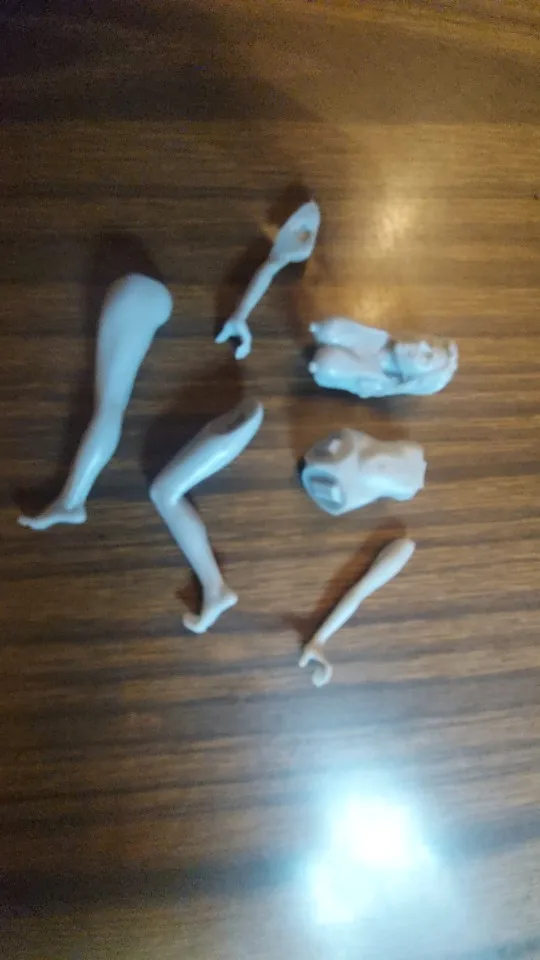 Buyer photo of this resin kit
