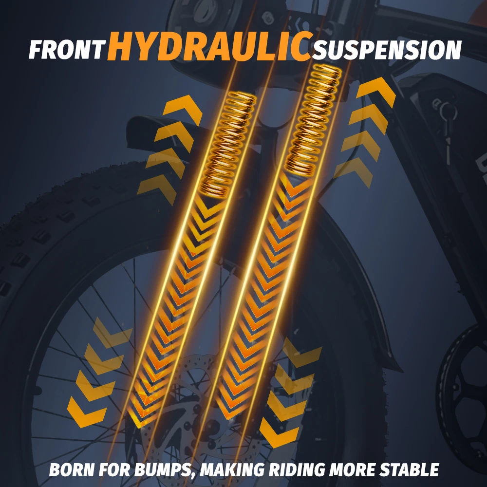 DEEPOWER V8 دراجة كهربائية 1000 واط 48 فولت 20 أمبير بطارية قابلة للإزالة دراجة كهربائية 20 بوصة على الطرق الوعرة جميع التضاريس الكبار Ebike #5