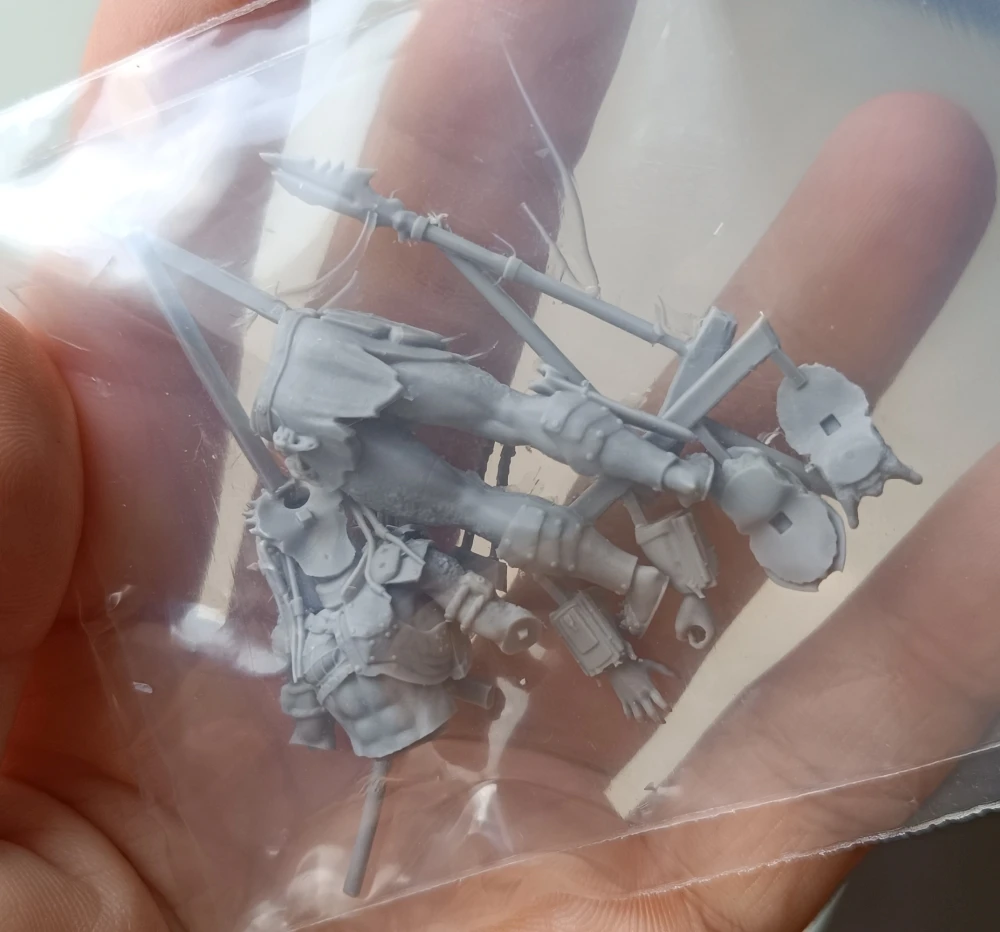 Buyer photo of this resin kit