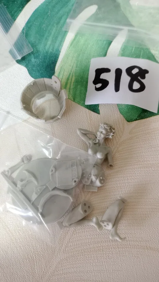 Buyer photo of this resin kit