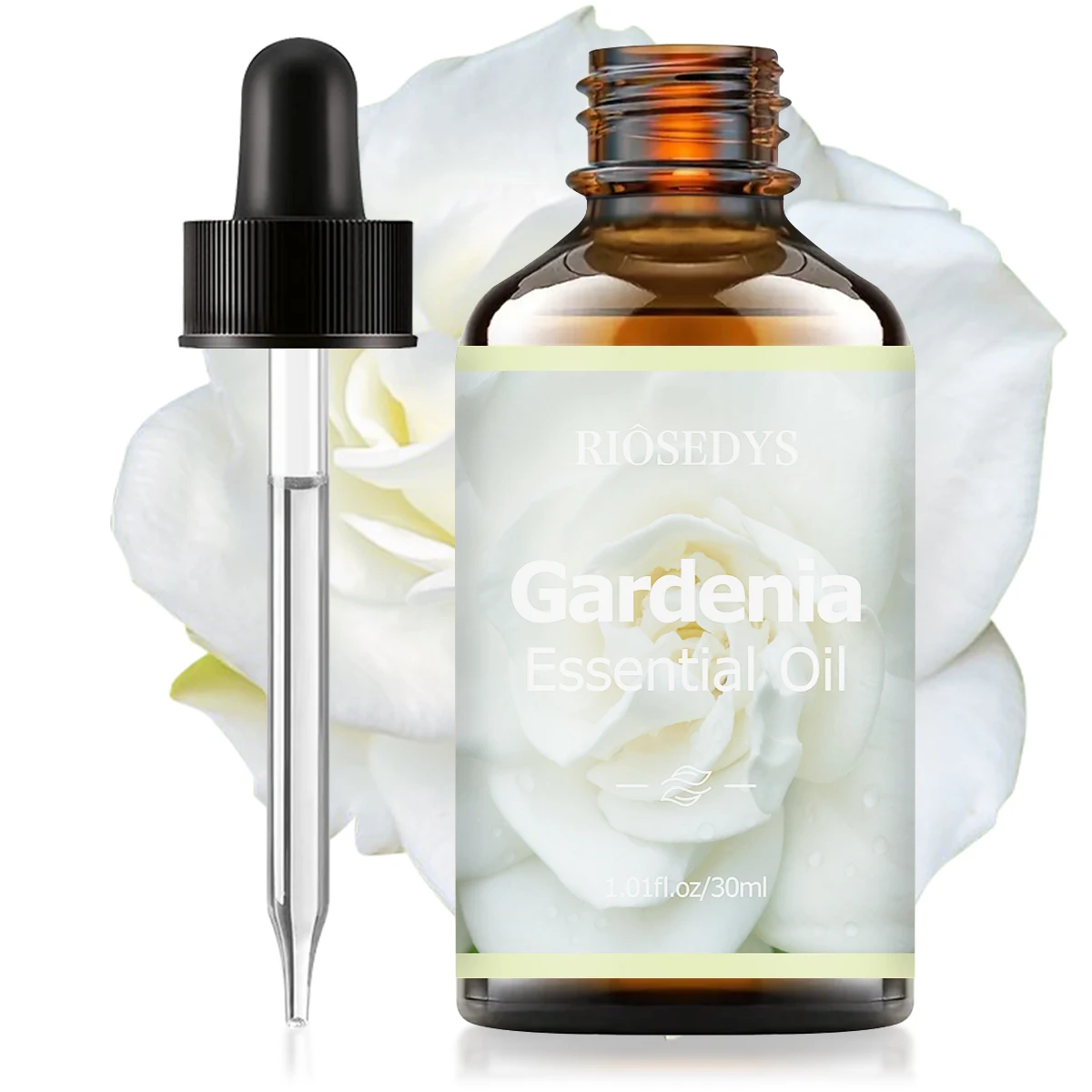 Gardenia Essential Oil, Luxurious Floral Fragrance Oil for Diffusers, DIY Crafts & Aromatherapy, Sweet, Creamy and Elegant Aroma