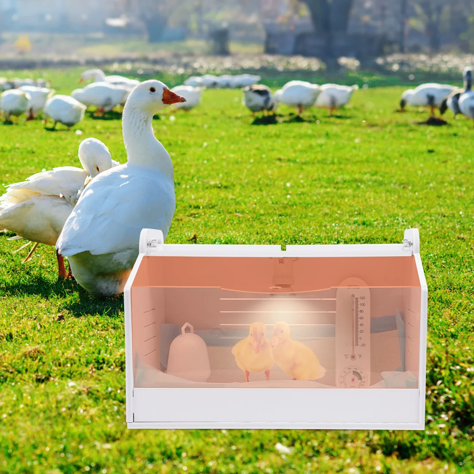 20 Eier Inkubator, Hühner brut Inkubator mit Thermometer, Haushalts brut Farm Huhn Gans Ente Vogel
