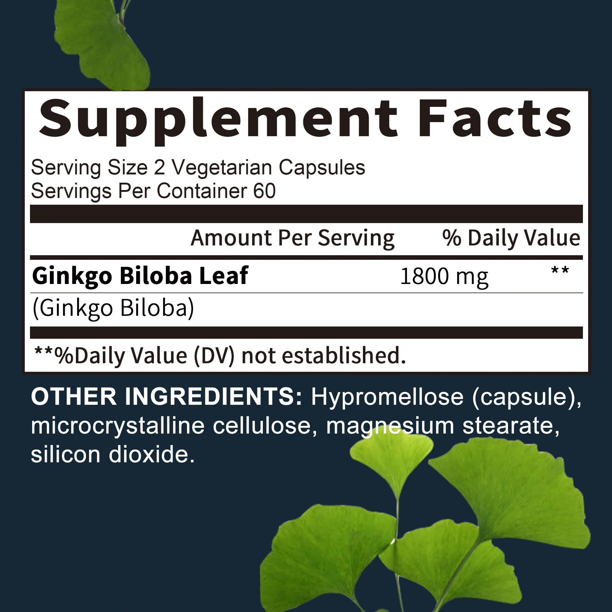 Ginkgo Biloba Capsules - Boost Brain, Improve Memory and Cognitive Abilities, Improve Blood Circulation - 120 Capsules