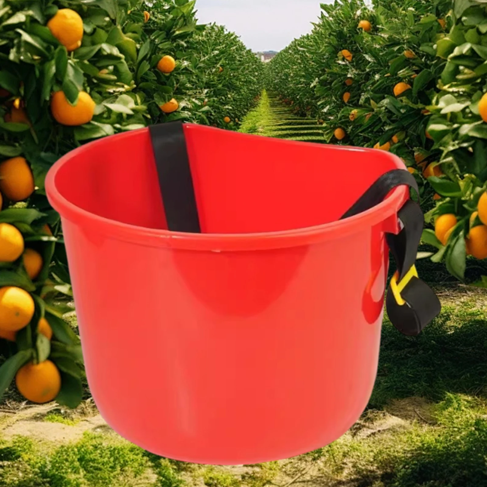 سلة قطف الفاكهة، مجموعة منظم دلو خفيف الوزن، أداة البستنة لحديقة الحديقة والخضروات #4