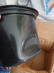 Imagen de reseña 3