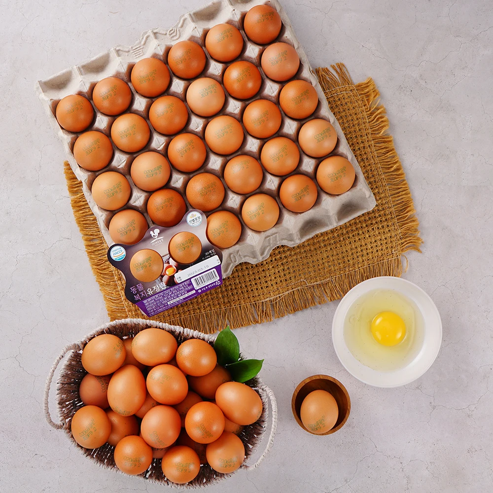 بيض طبيعي عضوي لرعاية الحيوانات ، 40 قطعة ، بيض صحة الحيوان ، 2