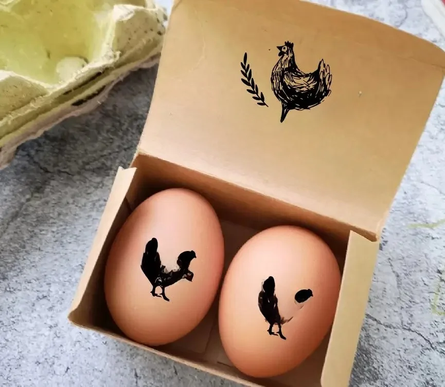 Tampon d'étiquettes d'œufs frais de poulet personnalisé, boîte en carton d'œuf, tampon de ferme à encre automatique pour poulailler, Date Just Laid, tampon d'encre pour étiquettes de poulailler