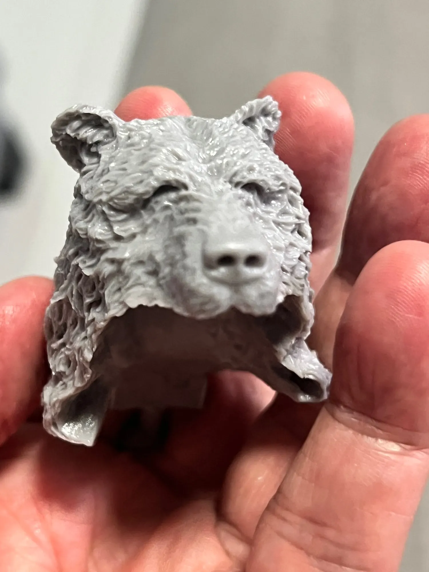 Buyer photo of this resin kit