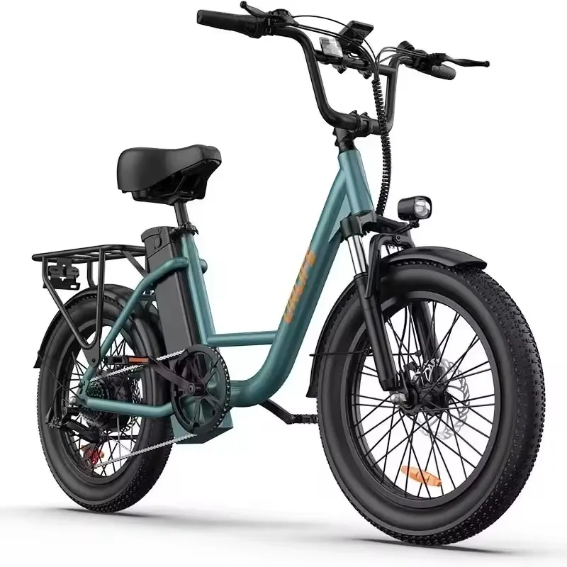 

E-bike For Adults 250W Motor Electric Bike 48V 13Ah 20 Inch Tires City Commuter Electric Bicycles