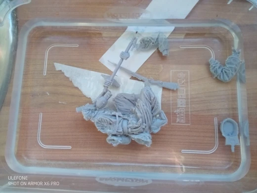 Buyer photo of this resin kit