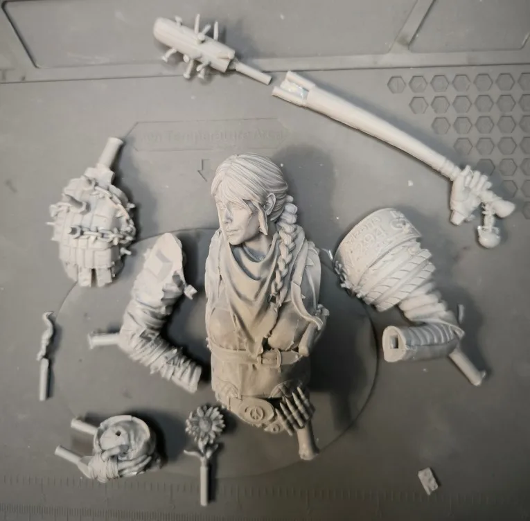 Buyer photo of this resin kit
