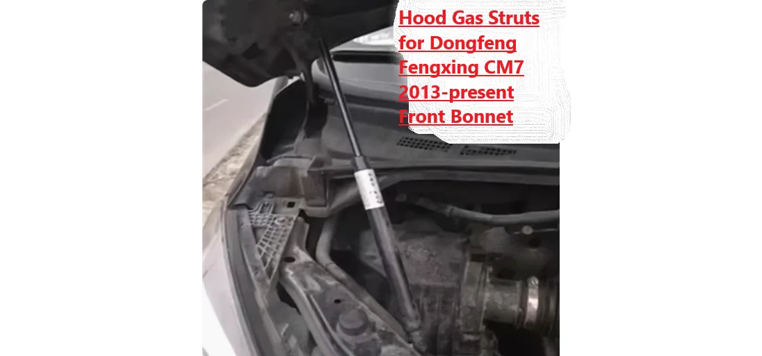 

Газовые стойки капота для Dongfeng Fengxing CM7 F600 M7 DFM 580 500 S560 G7 2013-2024, передняя капот, модифицированная подъемная опора, амортизаторы